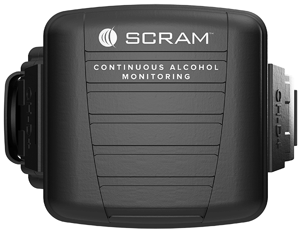 court ordered gps monitoring sc